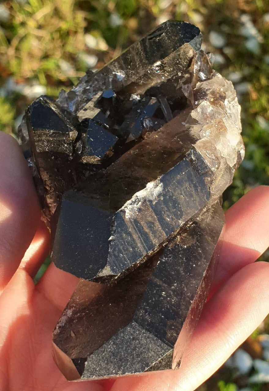 Smoky Quartz Cluster