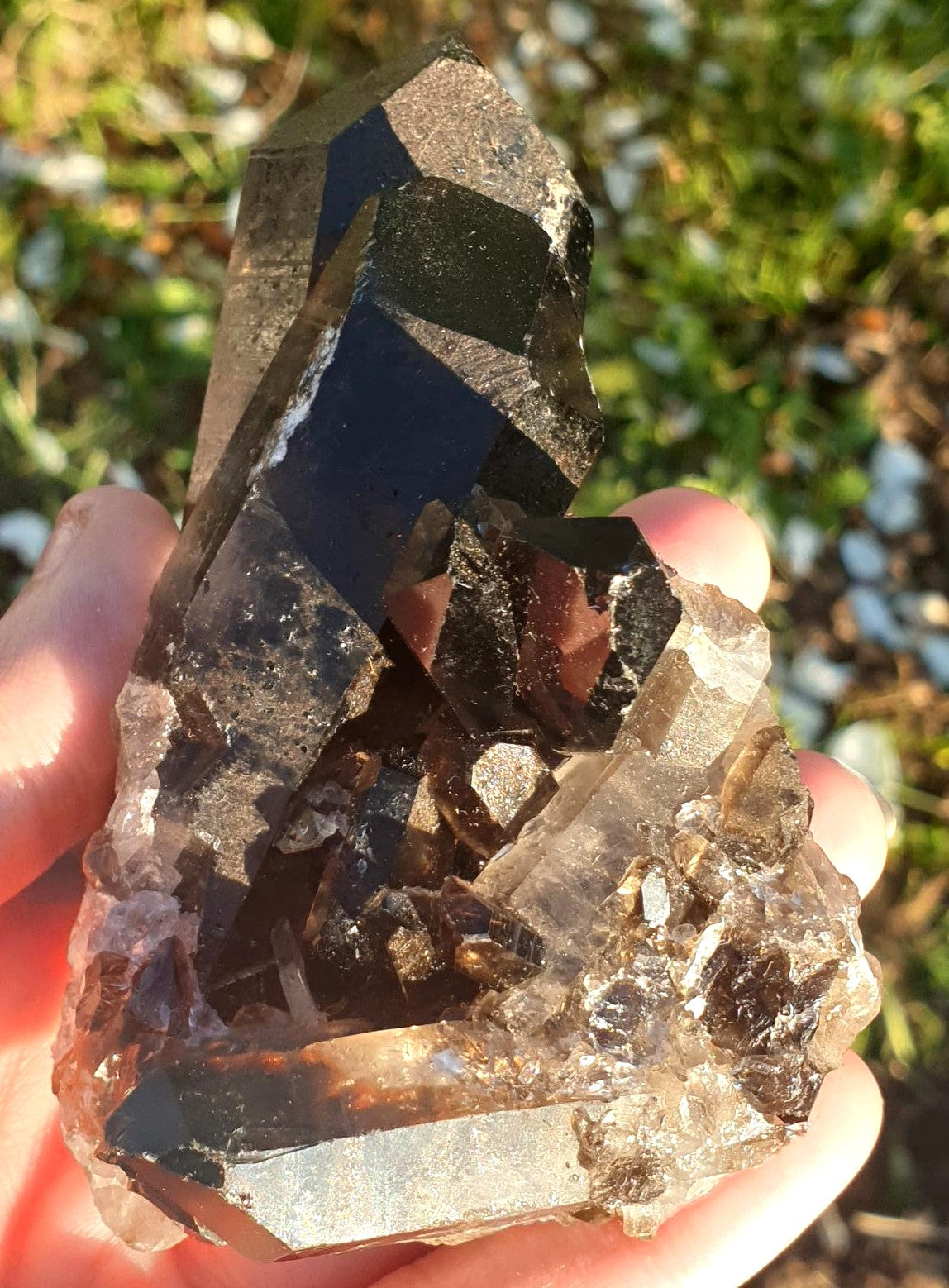 Smoky Quartz Cluster