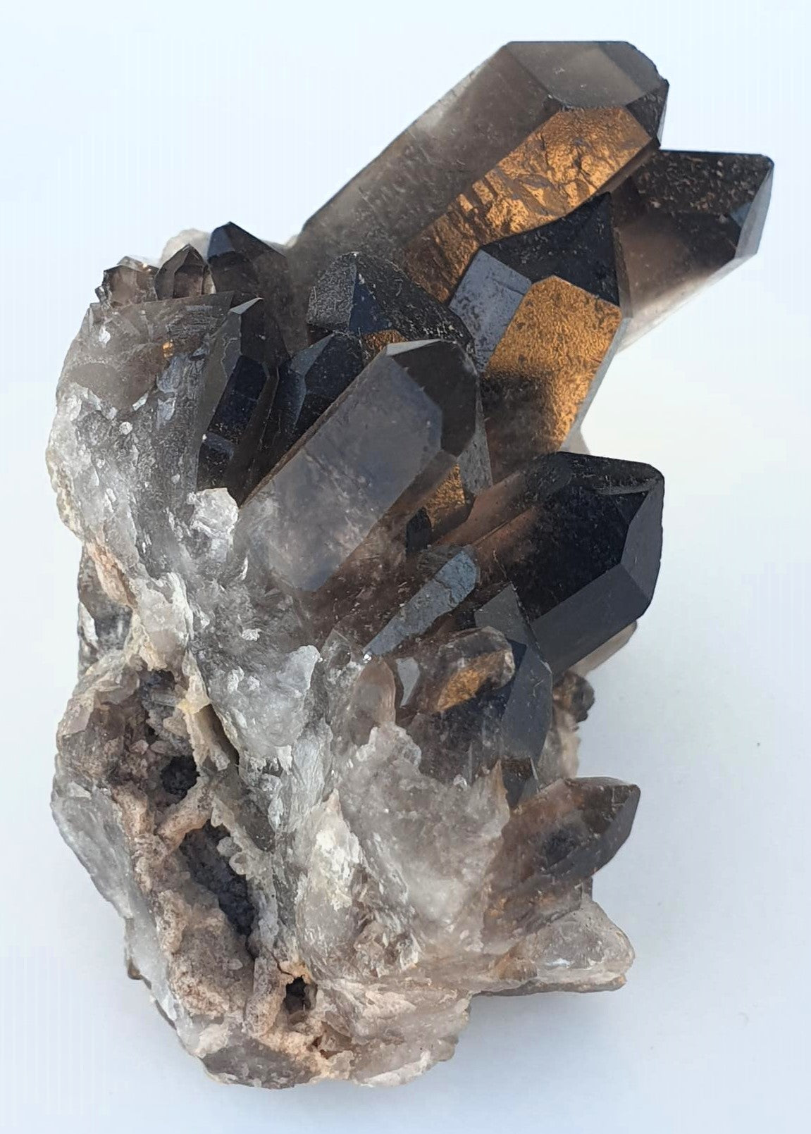Smoky Quartz Cluster