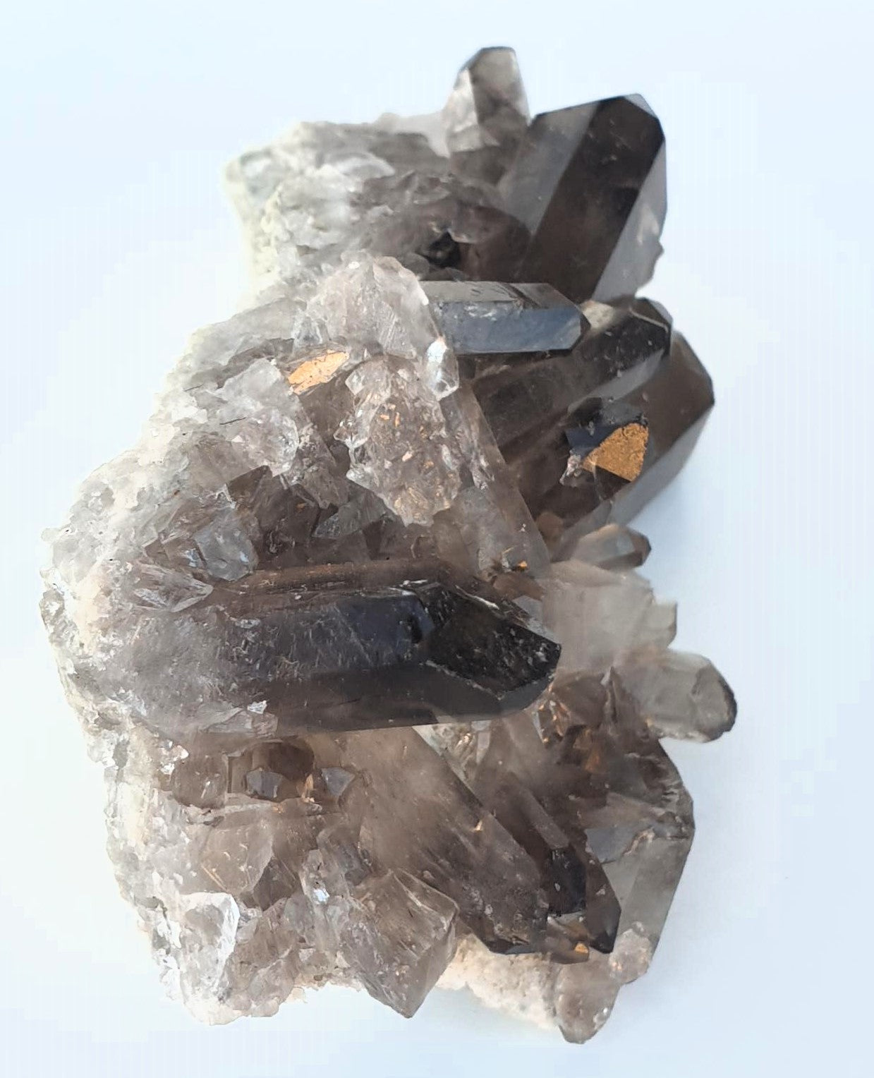 Smoky Quartz Cluster