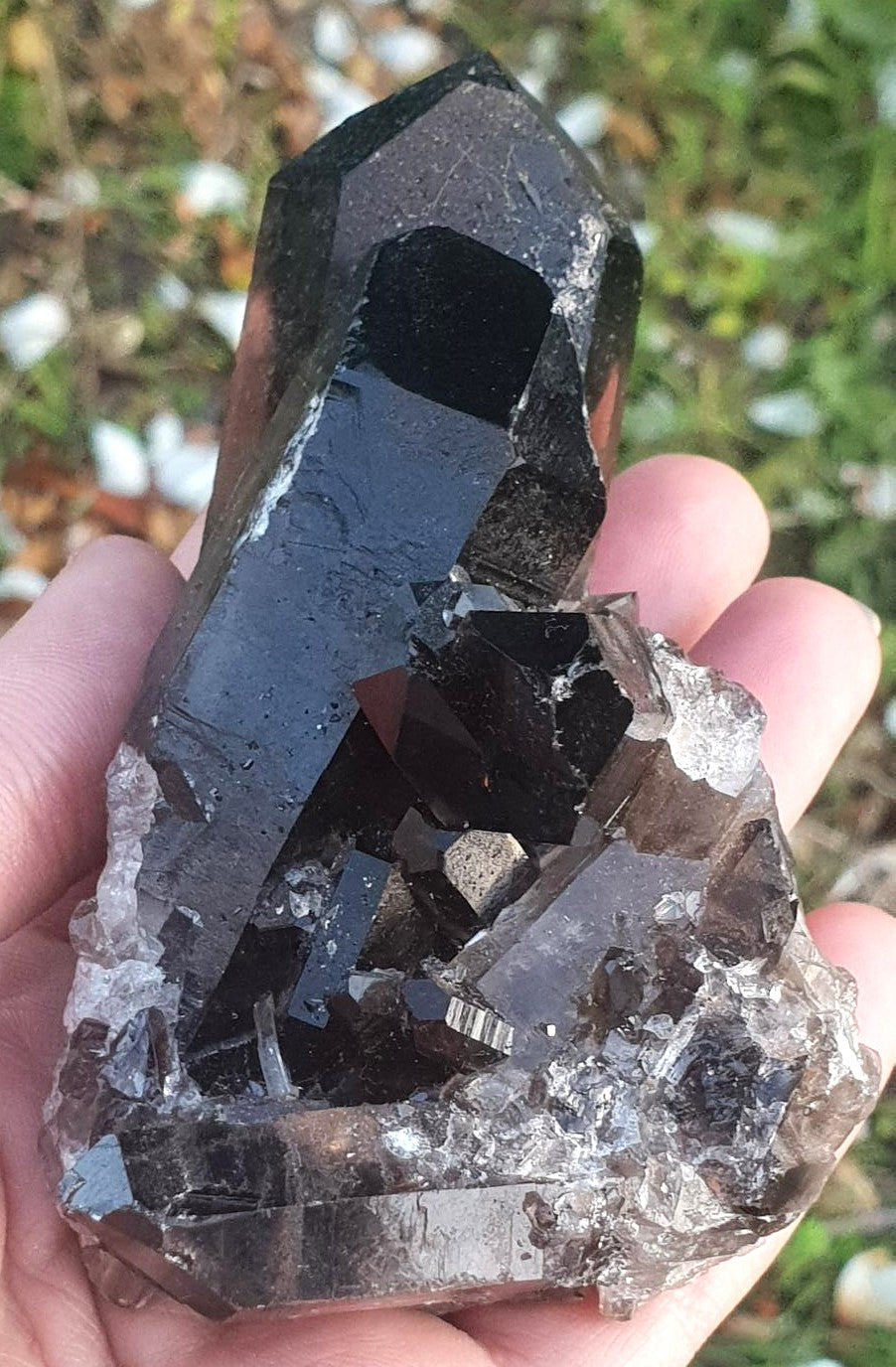 Smoky Quartz Cluster