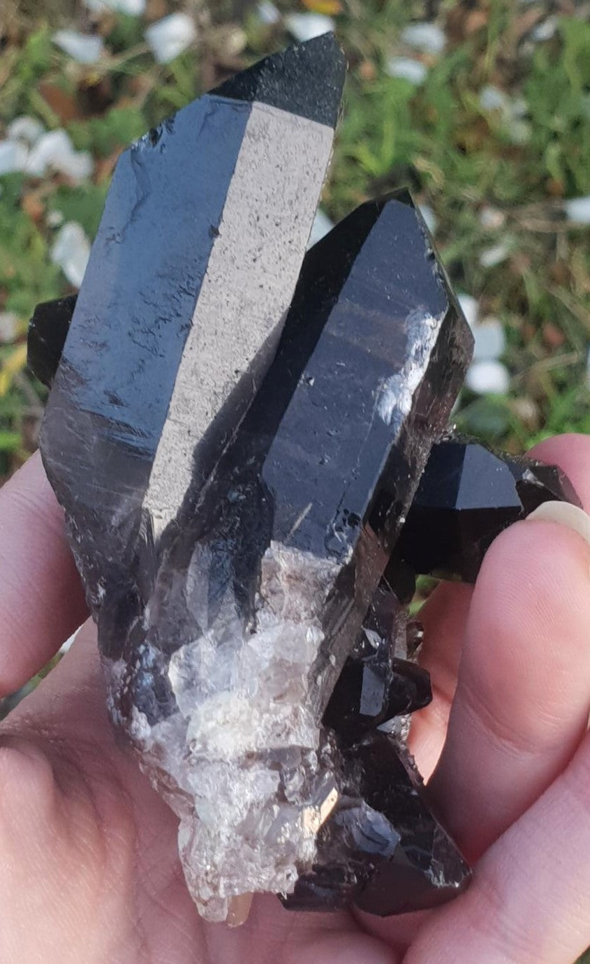Smoky Quartz Cluster