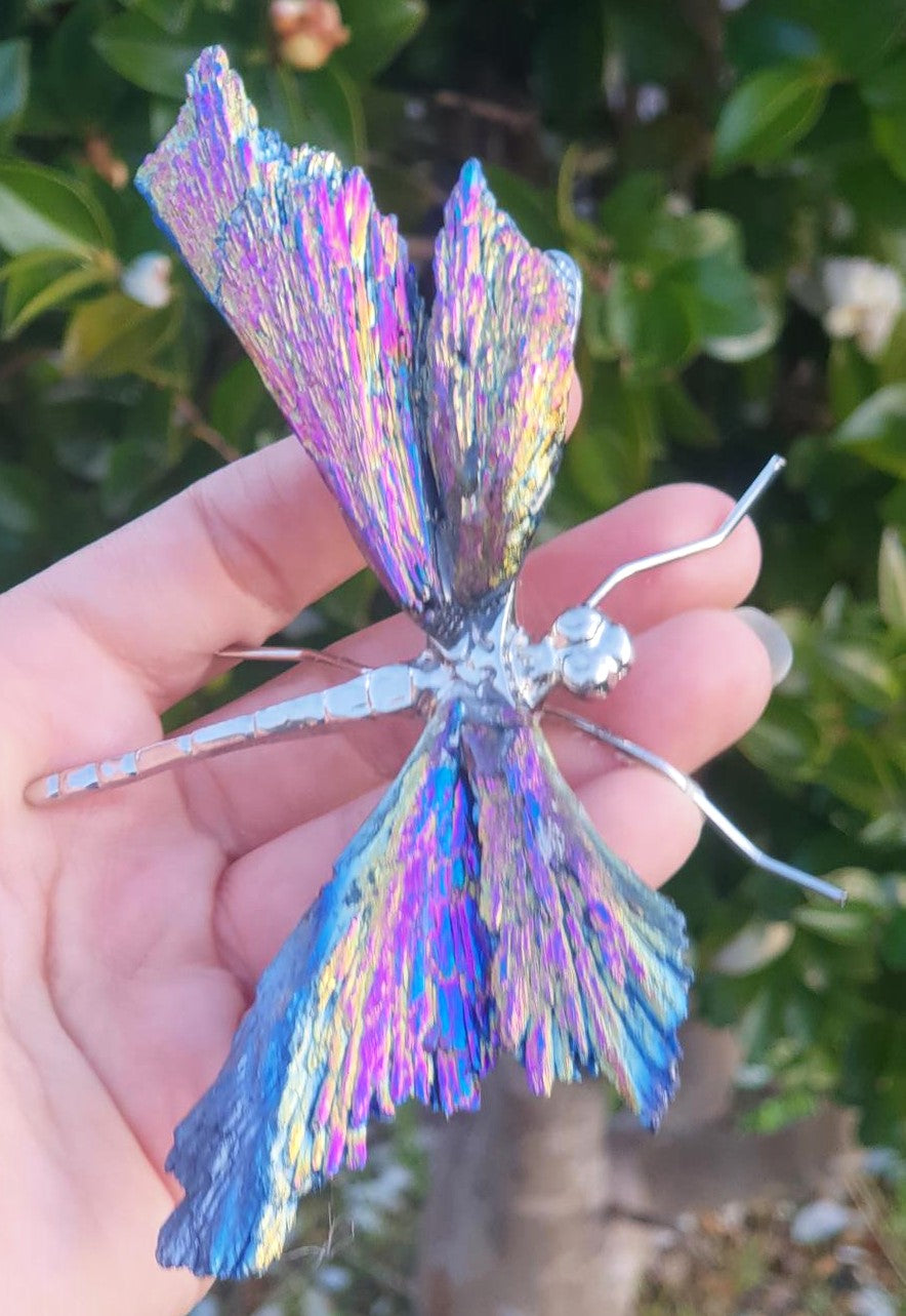 Titanium Aura Dragonfly - Silver