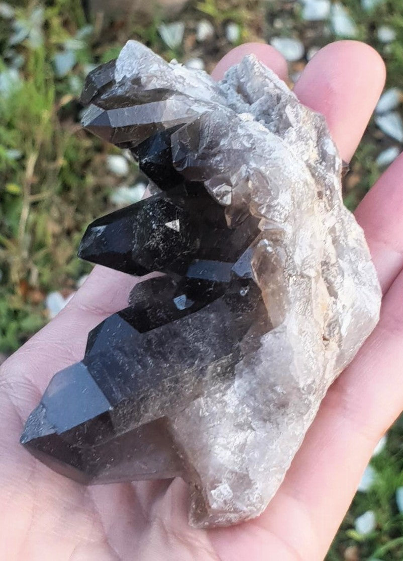 Smoky Quartz Cluster