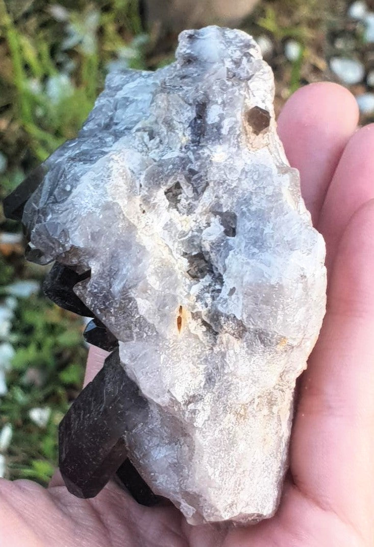Smoky Quartz Cluster