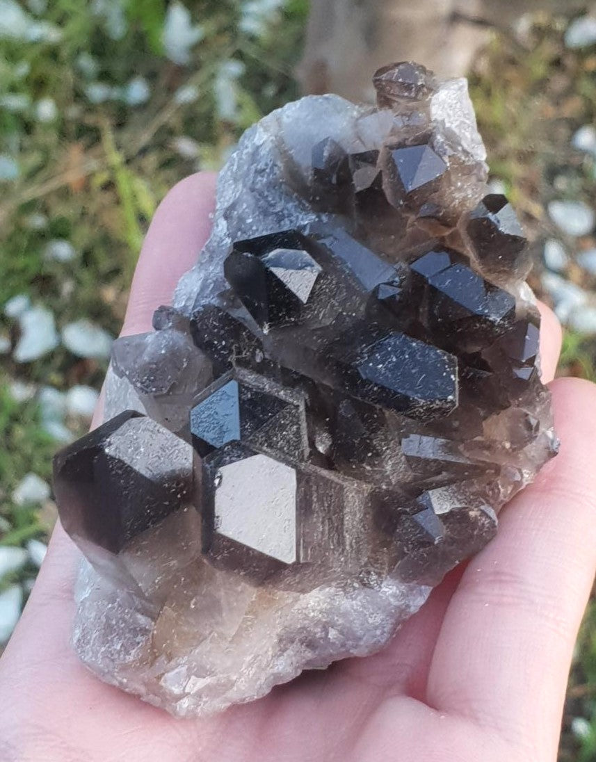 Smoky Quartz Cluster