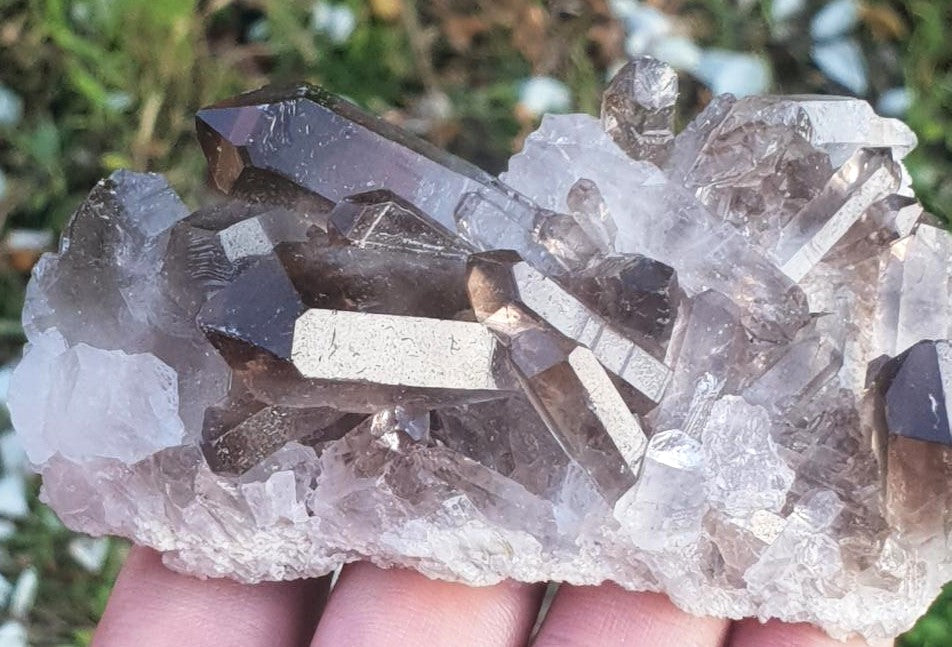 Smoky Quartz Cluster