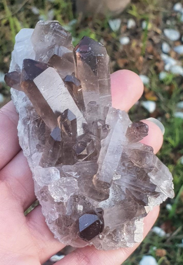 Smoky Quartz Cluster