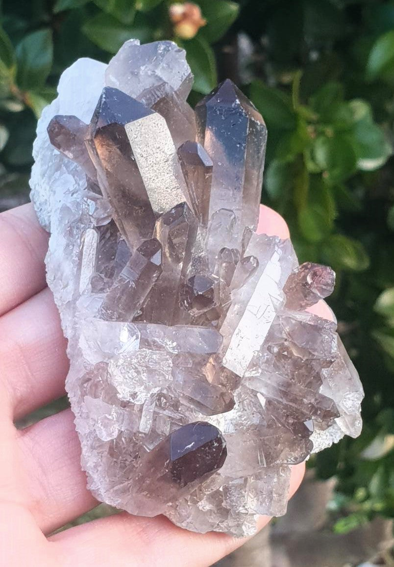 Smoky Quartz Cluster