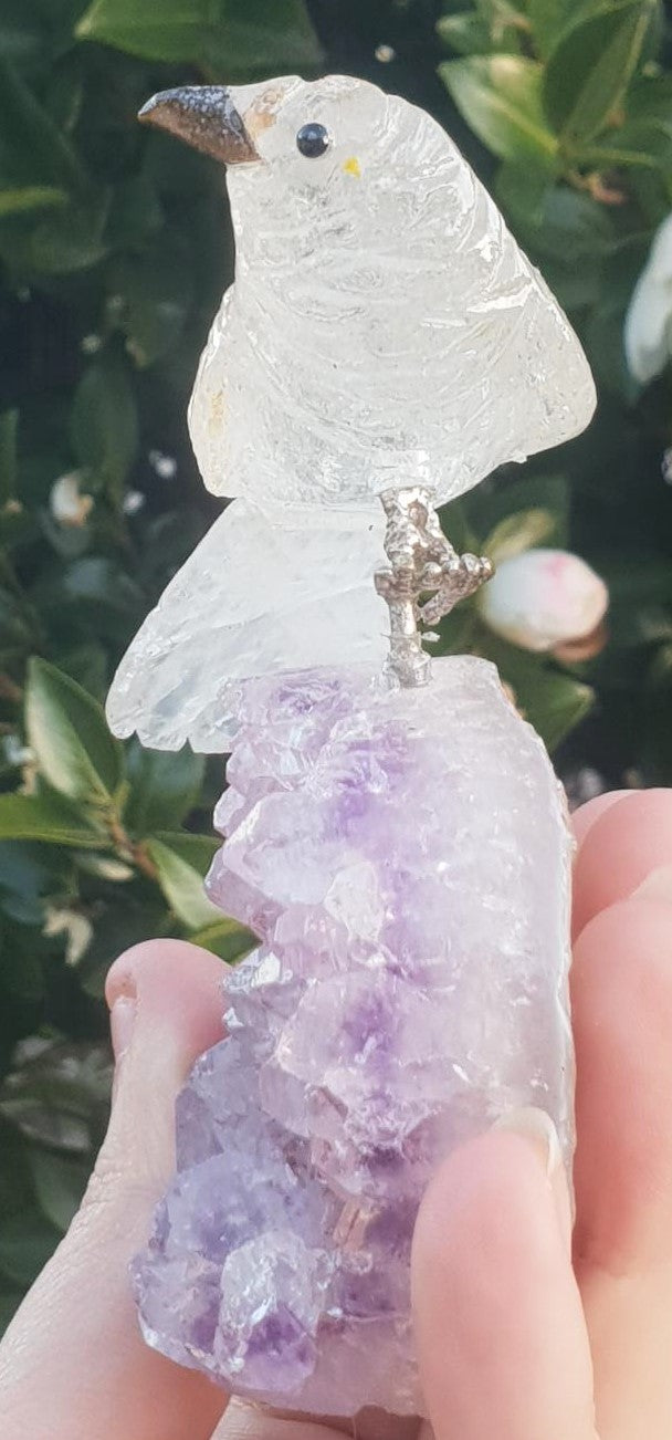 Clear Quartz Crystal Carved Bird on Amethyst Cluster