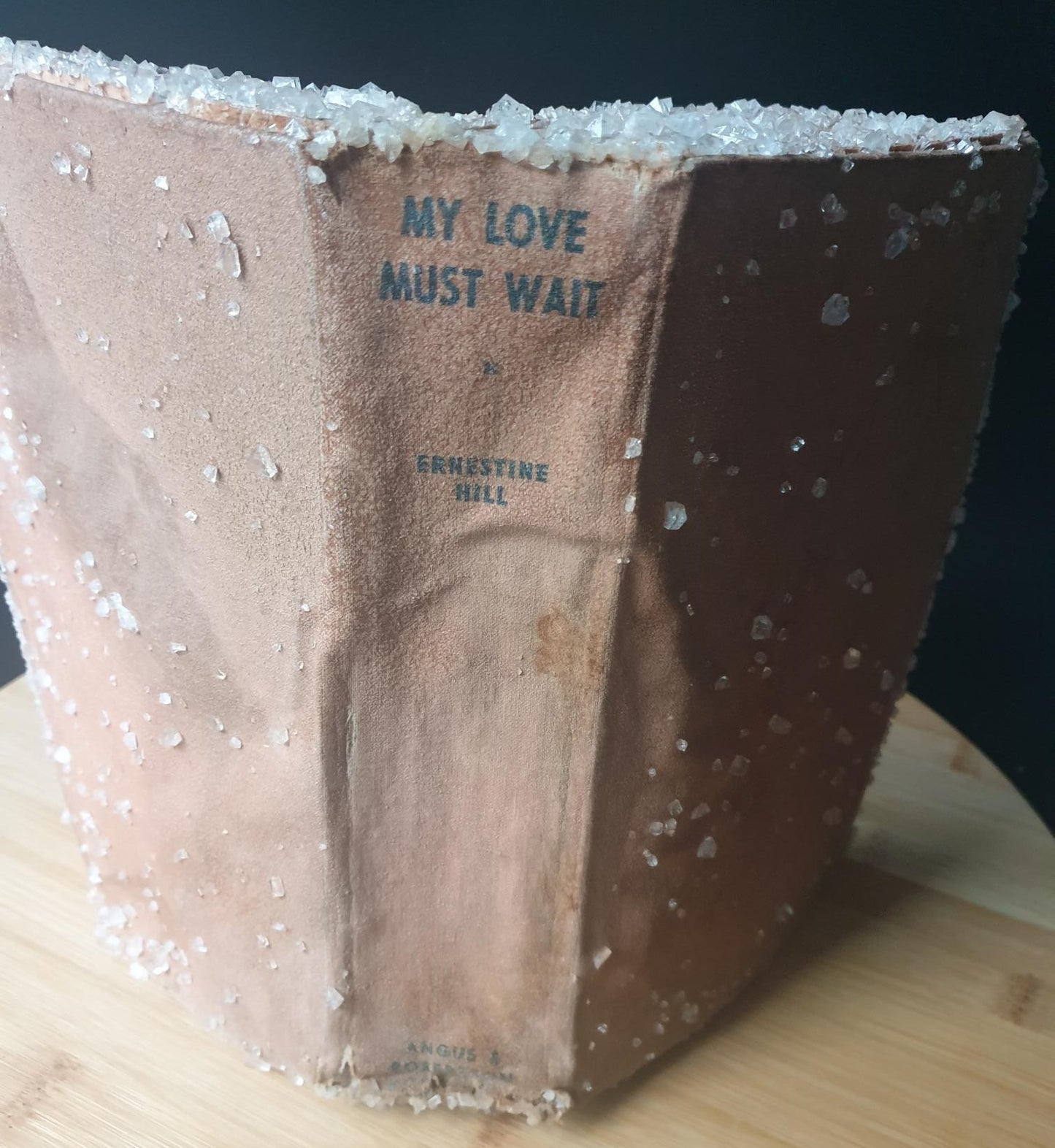 'My Love Must Wait' By Ernestine Hill