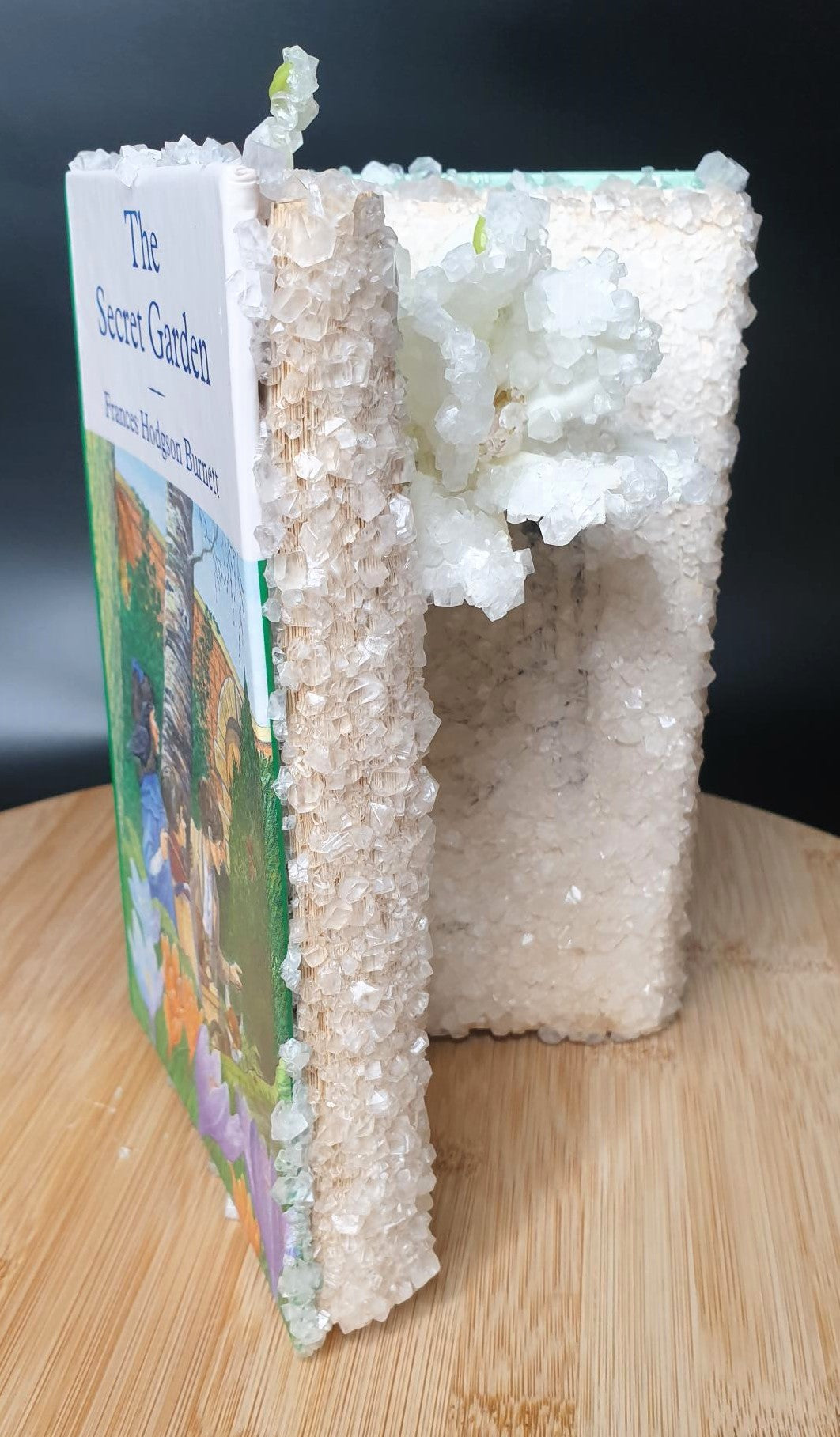 'The Secret Garden' By Frances Hodgson Burnett