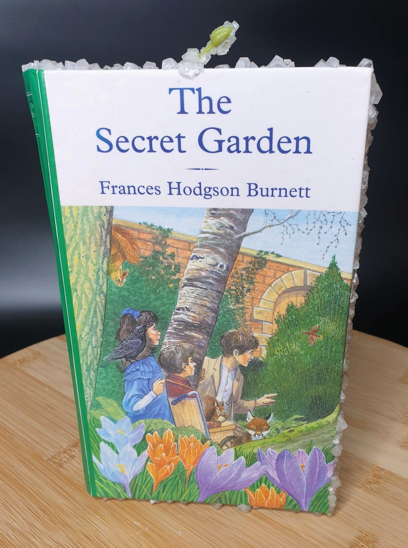 'The Secret Garden' By Frances Hodgson Burnett
