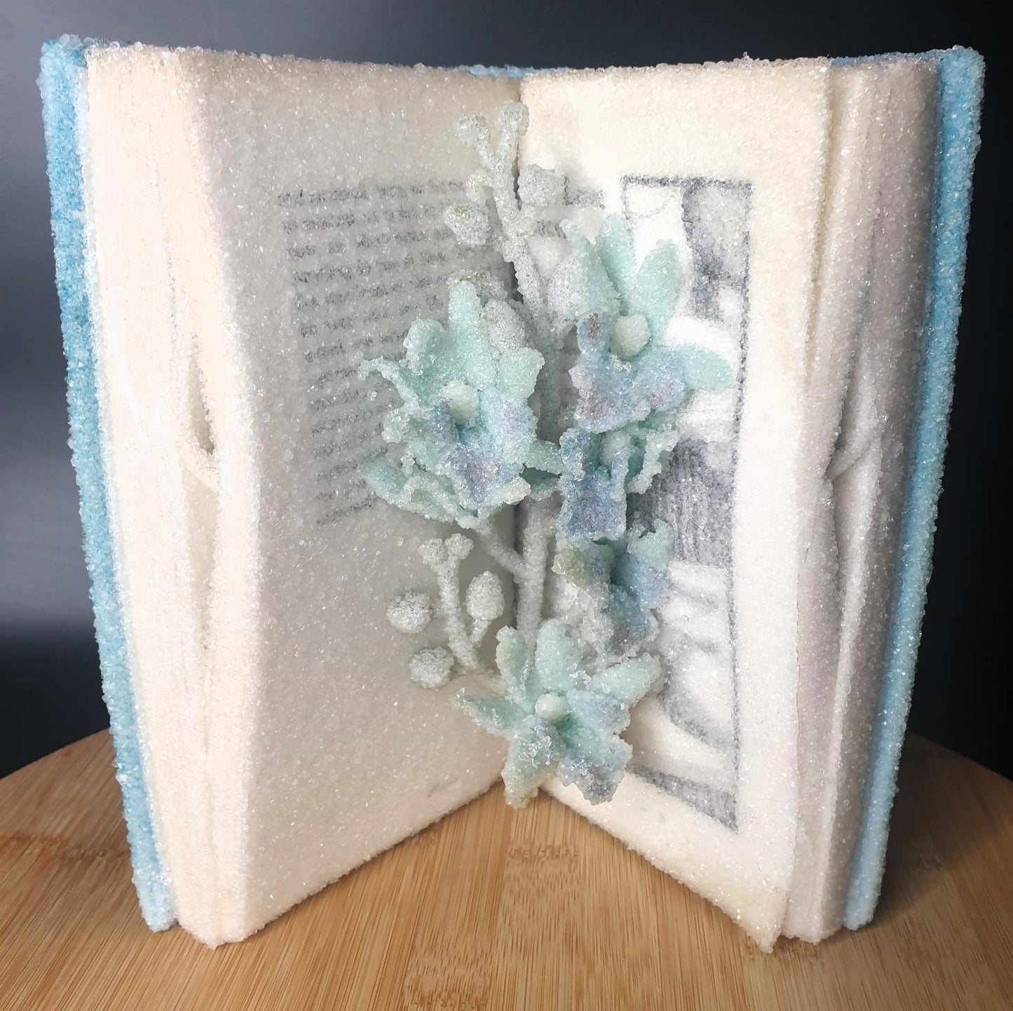 'Deep Water' By Debi Gliori