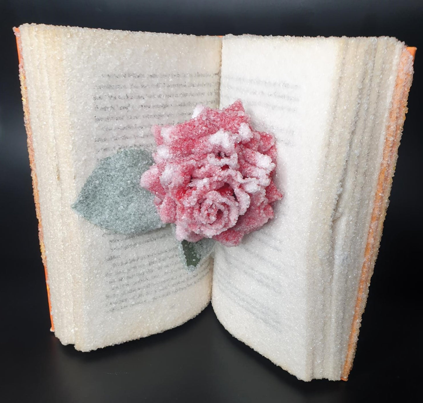 'The World is a Wedding' By Wendy Jones