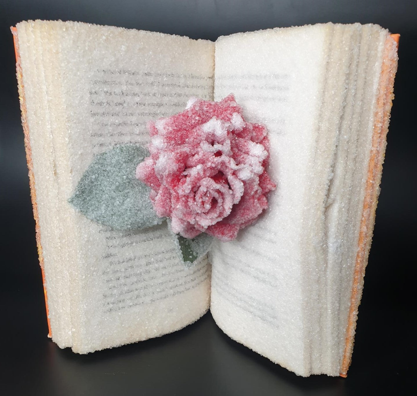 'The World is a Wedding' By Wendy Jones