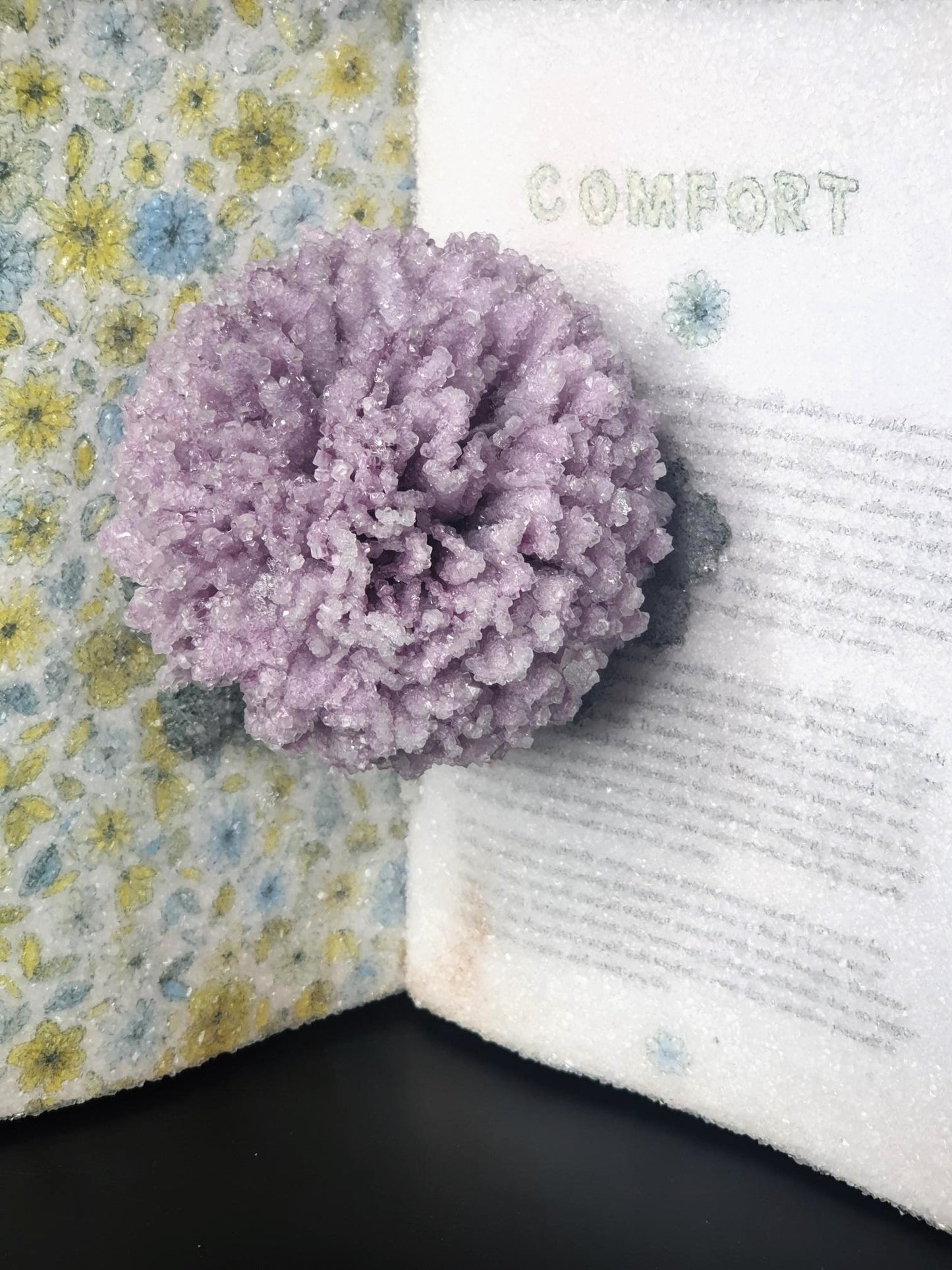 'The Art of Wellbeing' By Meredith Gaston