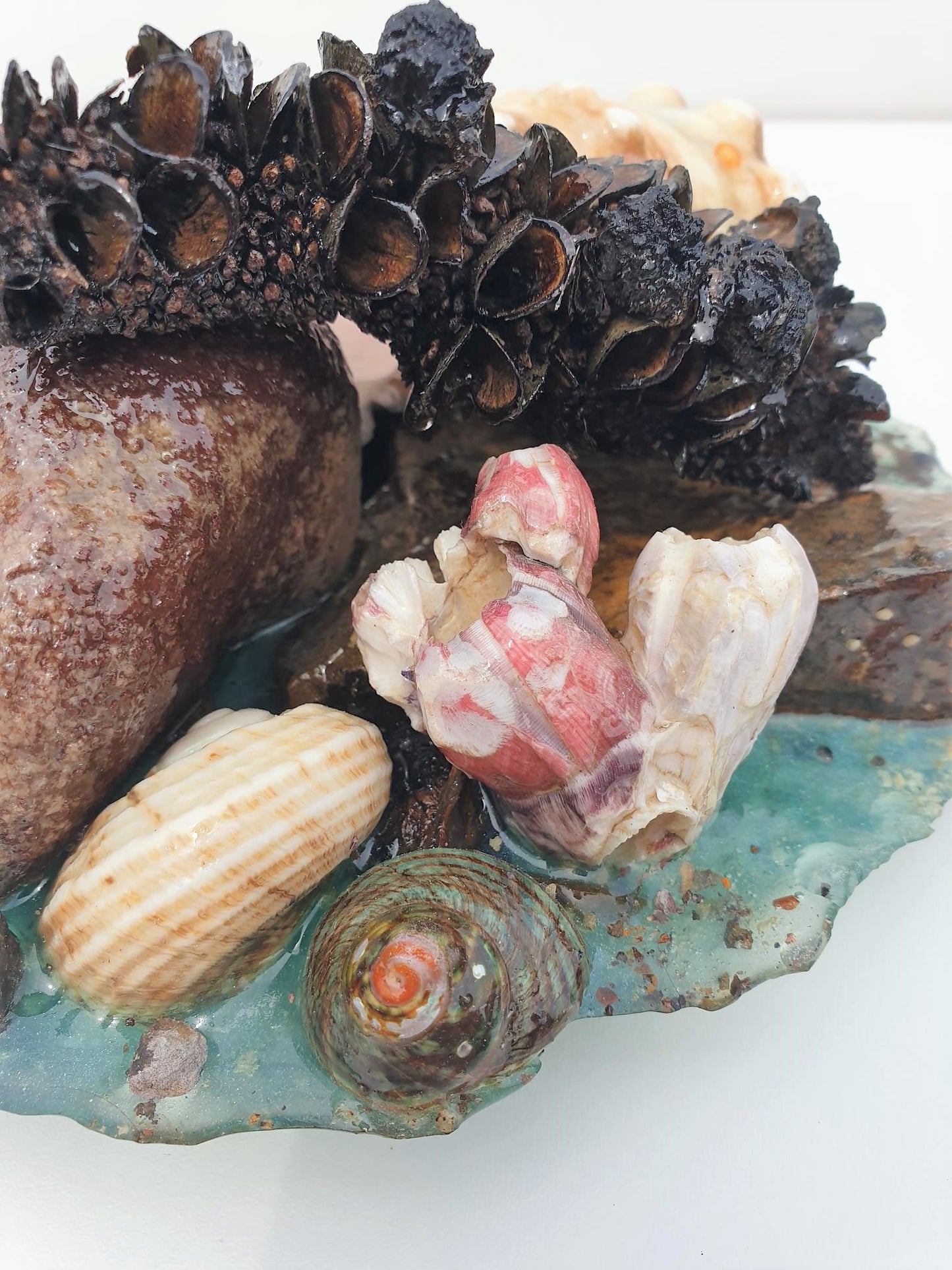 Coastal Table Display / Decor # 1