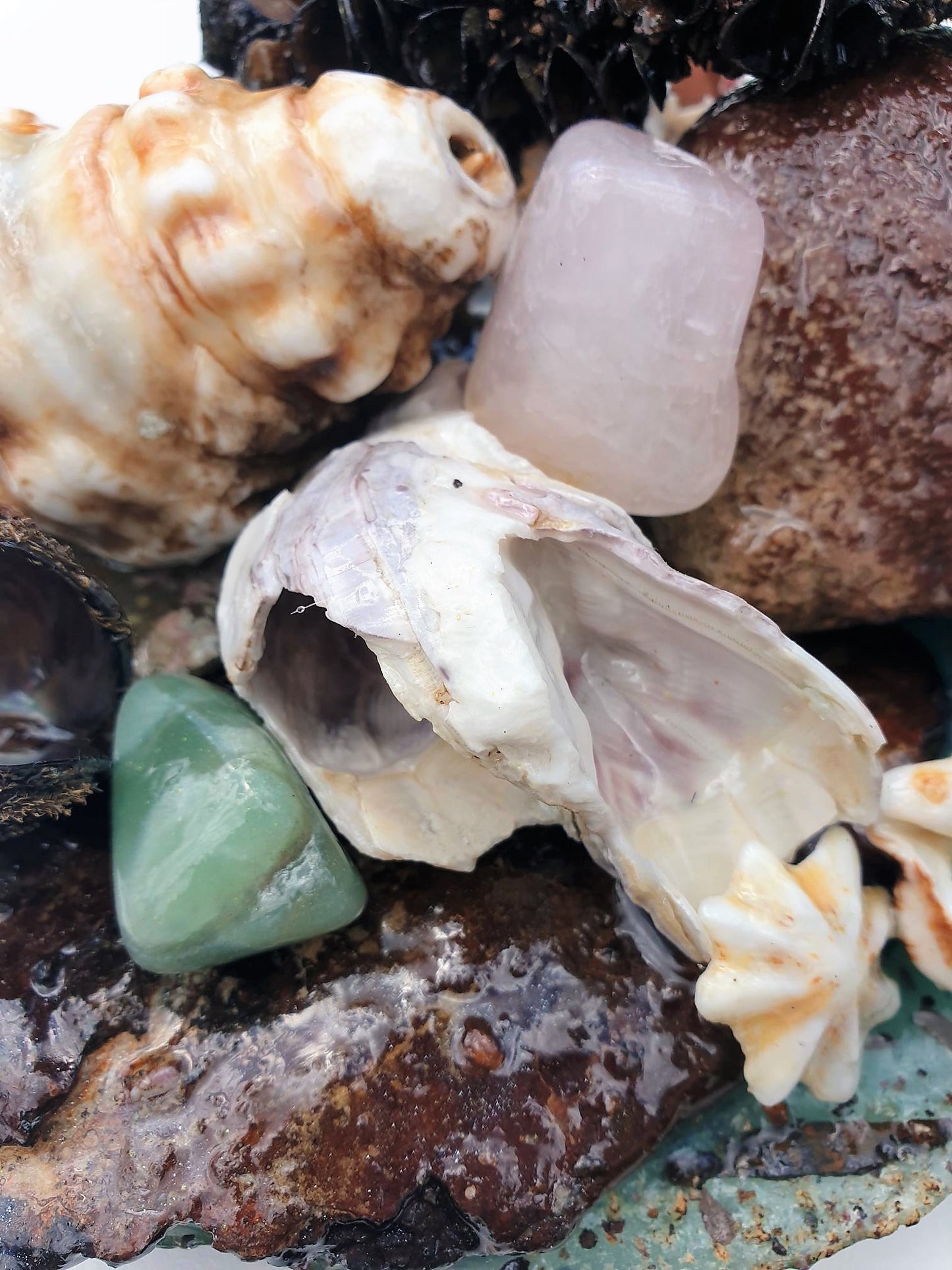 Coastal Table Display / Decor # 1