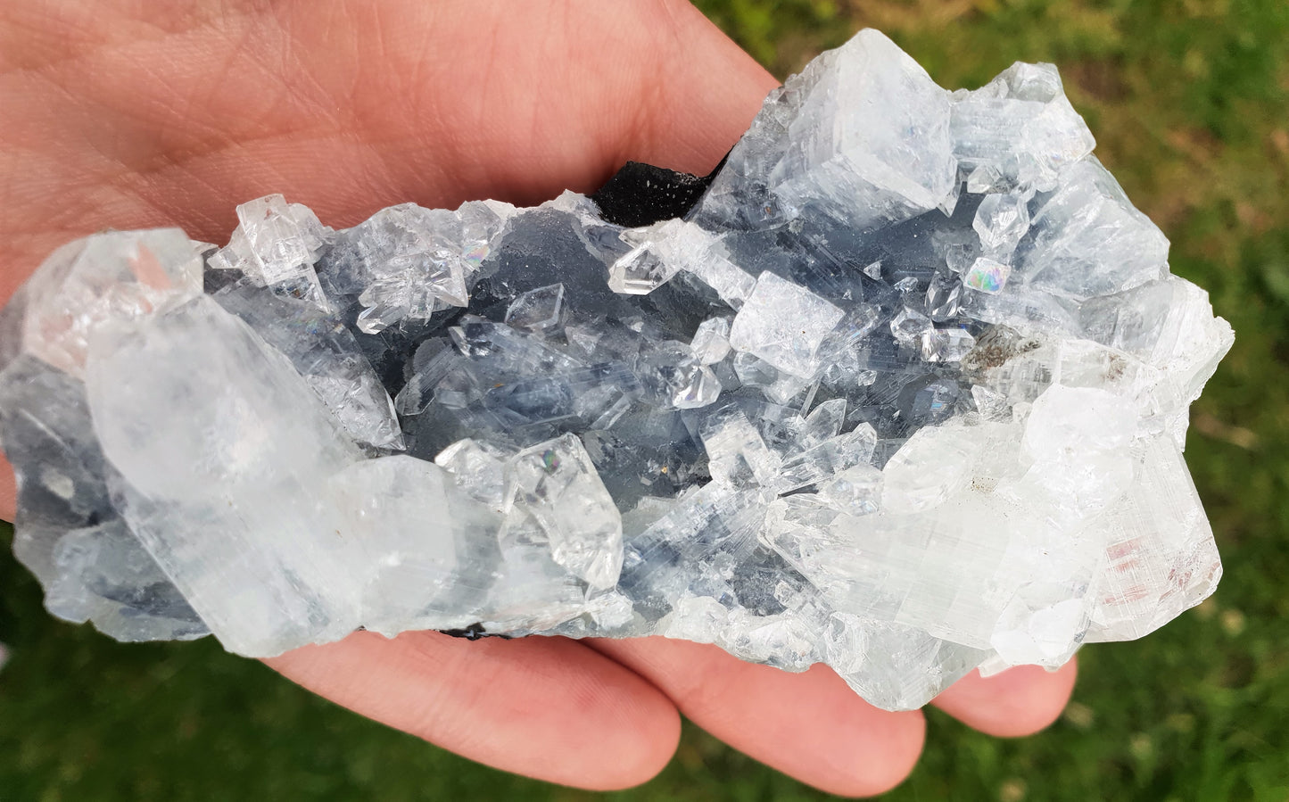Apophyllite Cluster