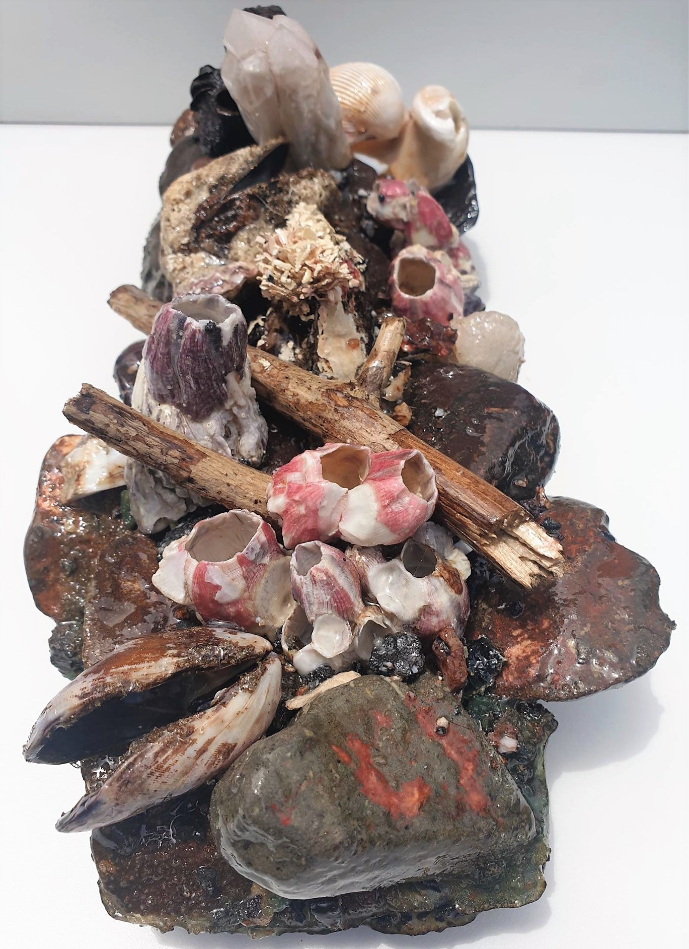 Coastal Table Display / Decor # 3