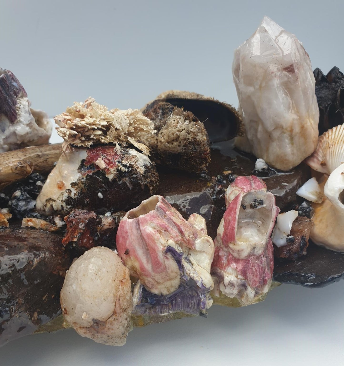 Coastal Table Display / Decor # 3