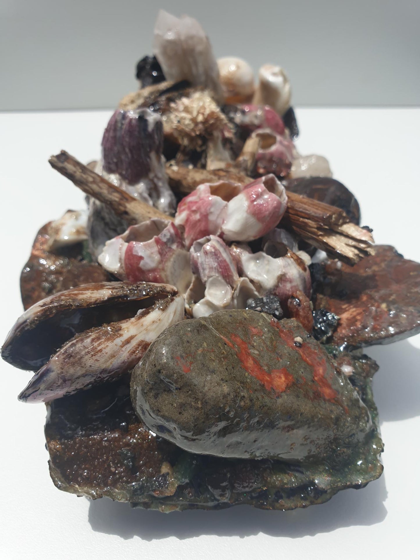 Coastal Table Display / Decor # 3
