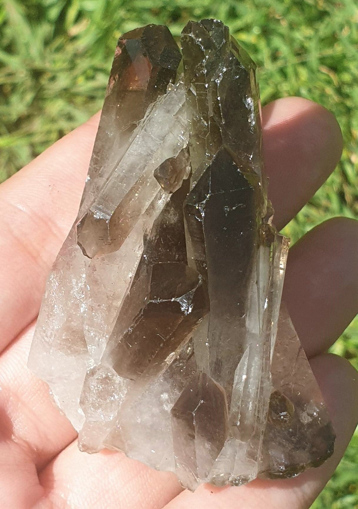 Smoky Quartz Cluster