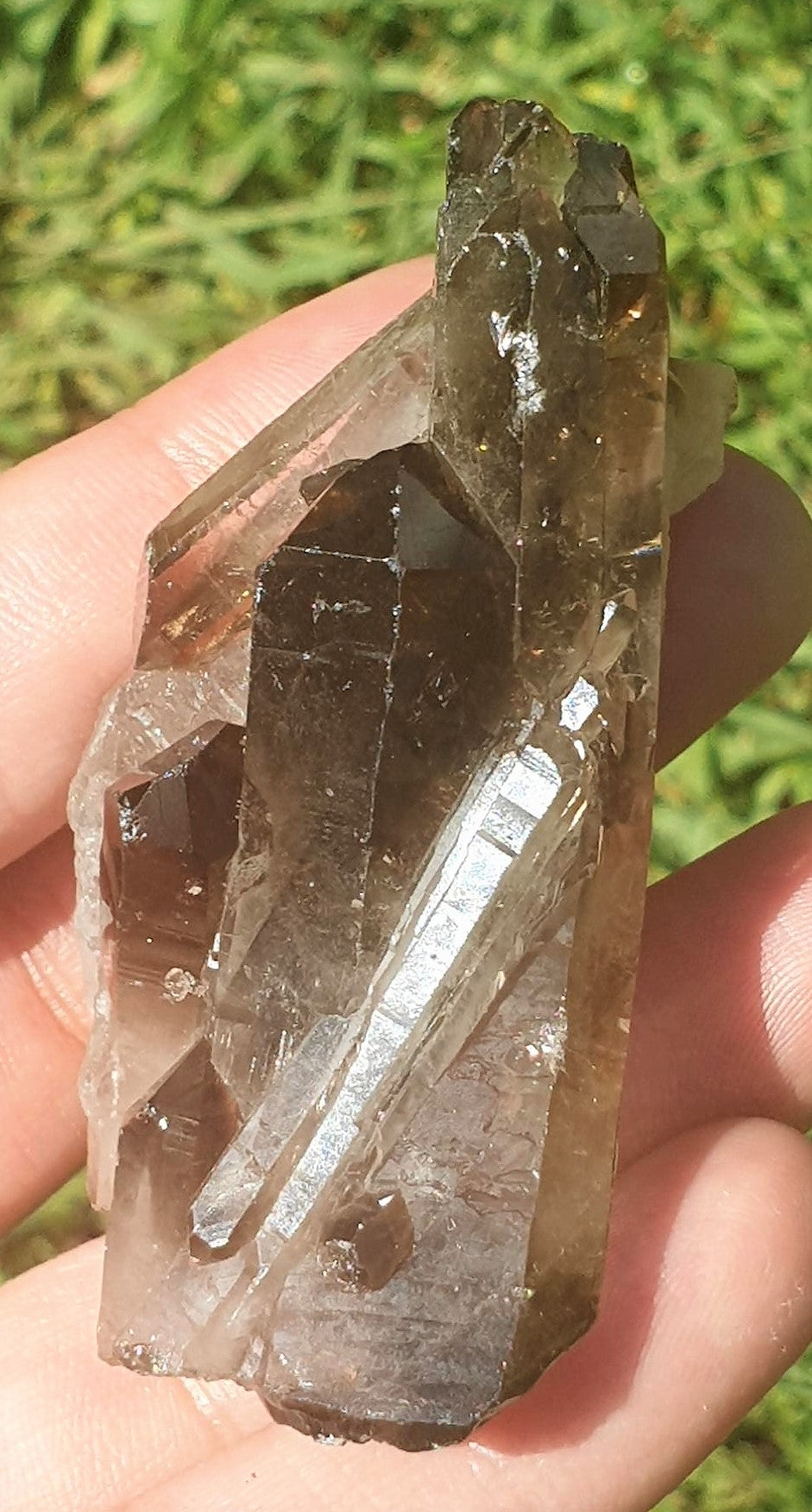 Smoky Quartz Cluster