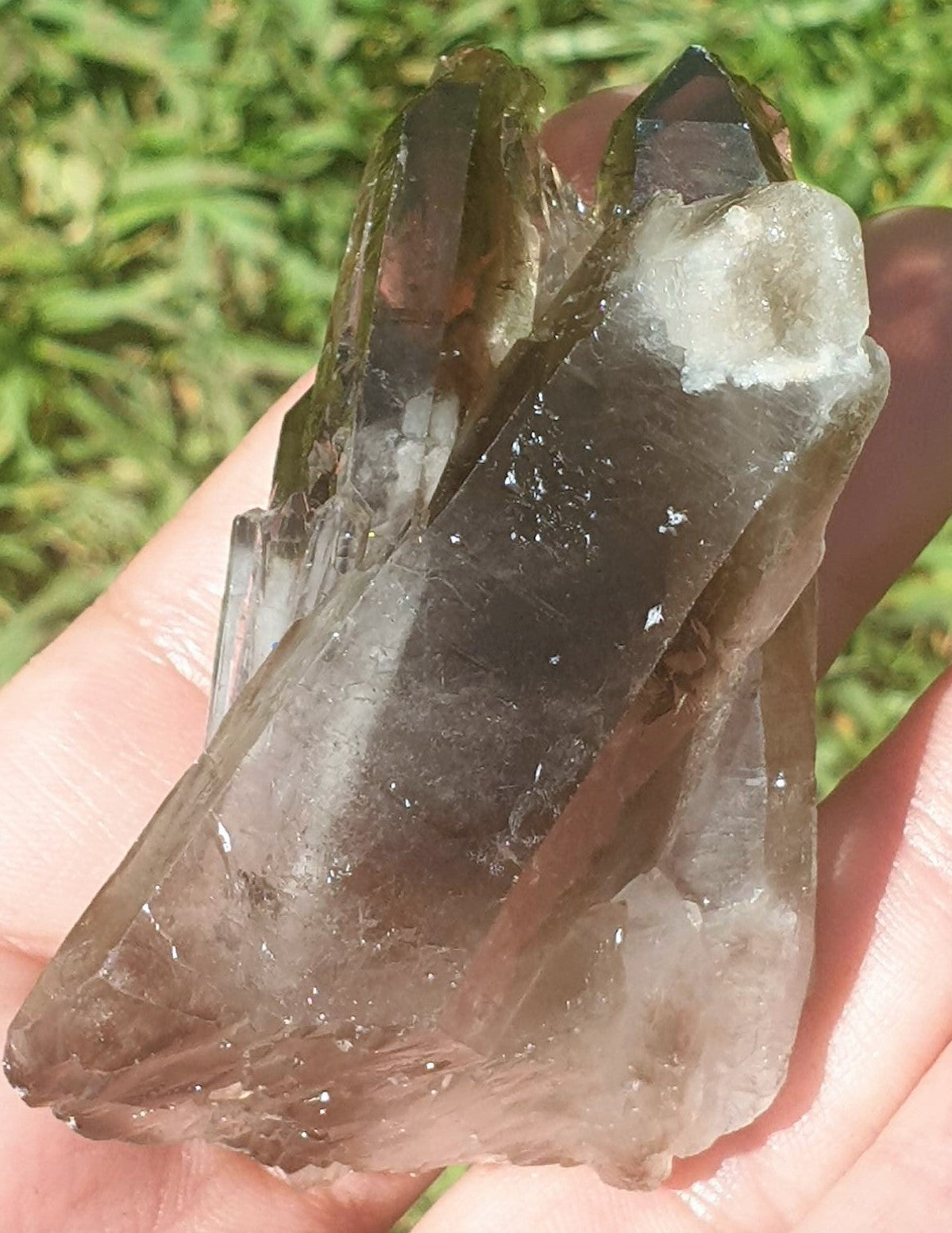 Smoky Quartz Cluster