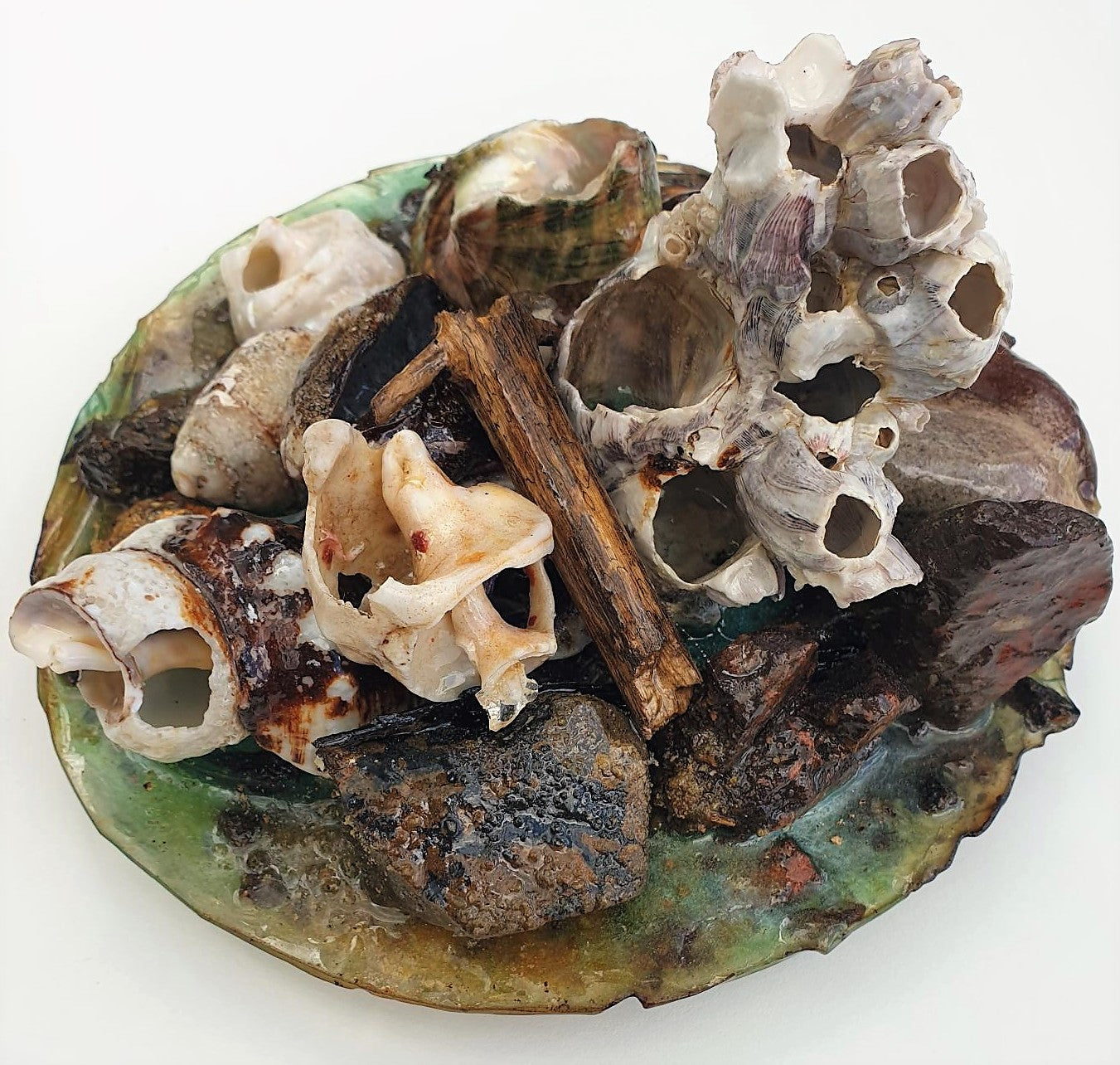 Coastal Table Display / Decor # 2