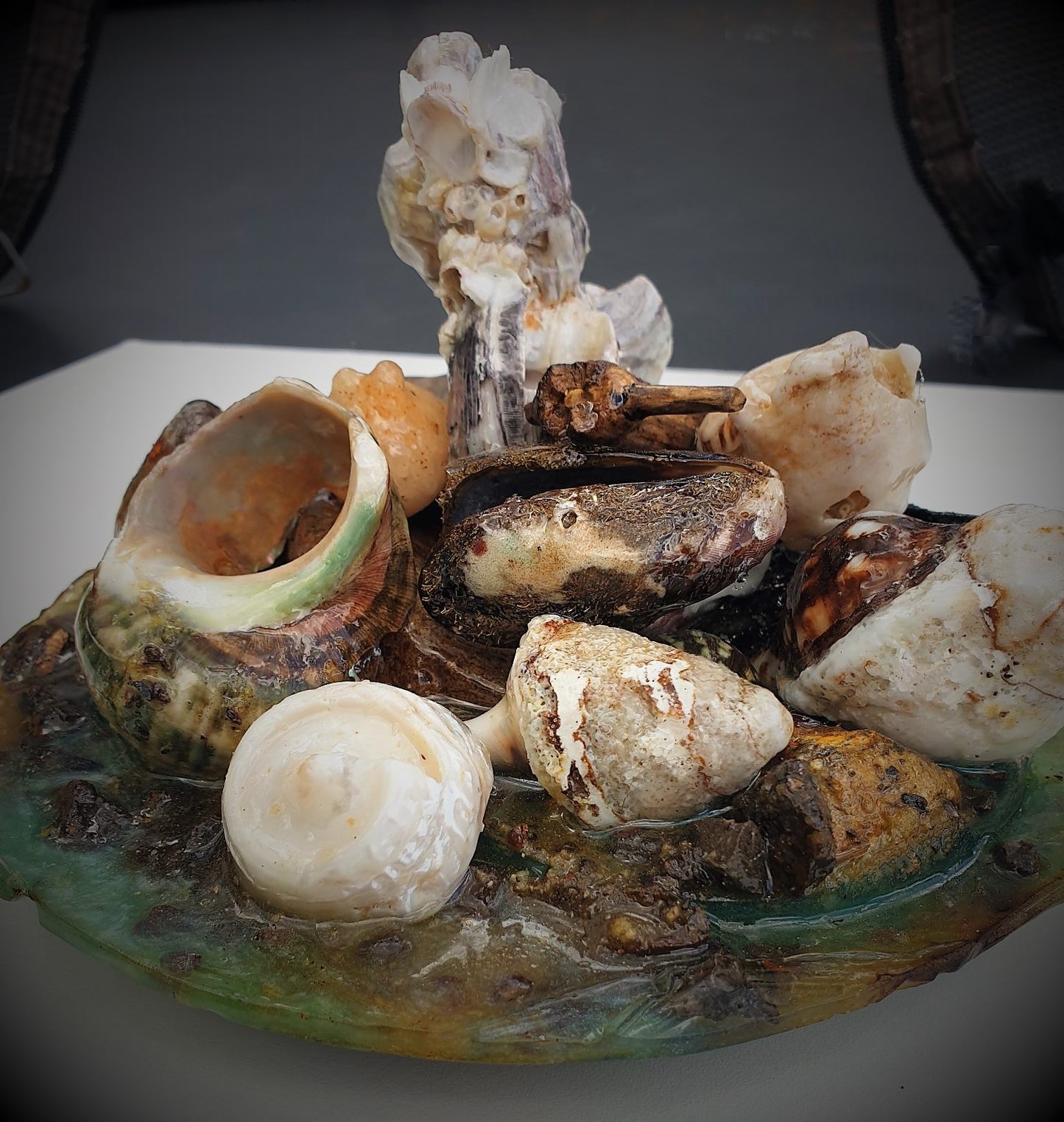 Coastal Table Display / Decor # 2