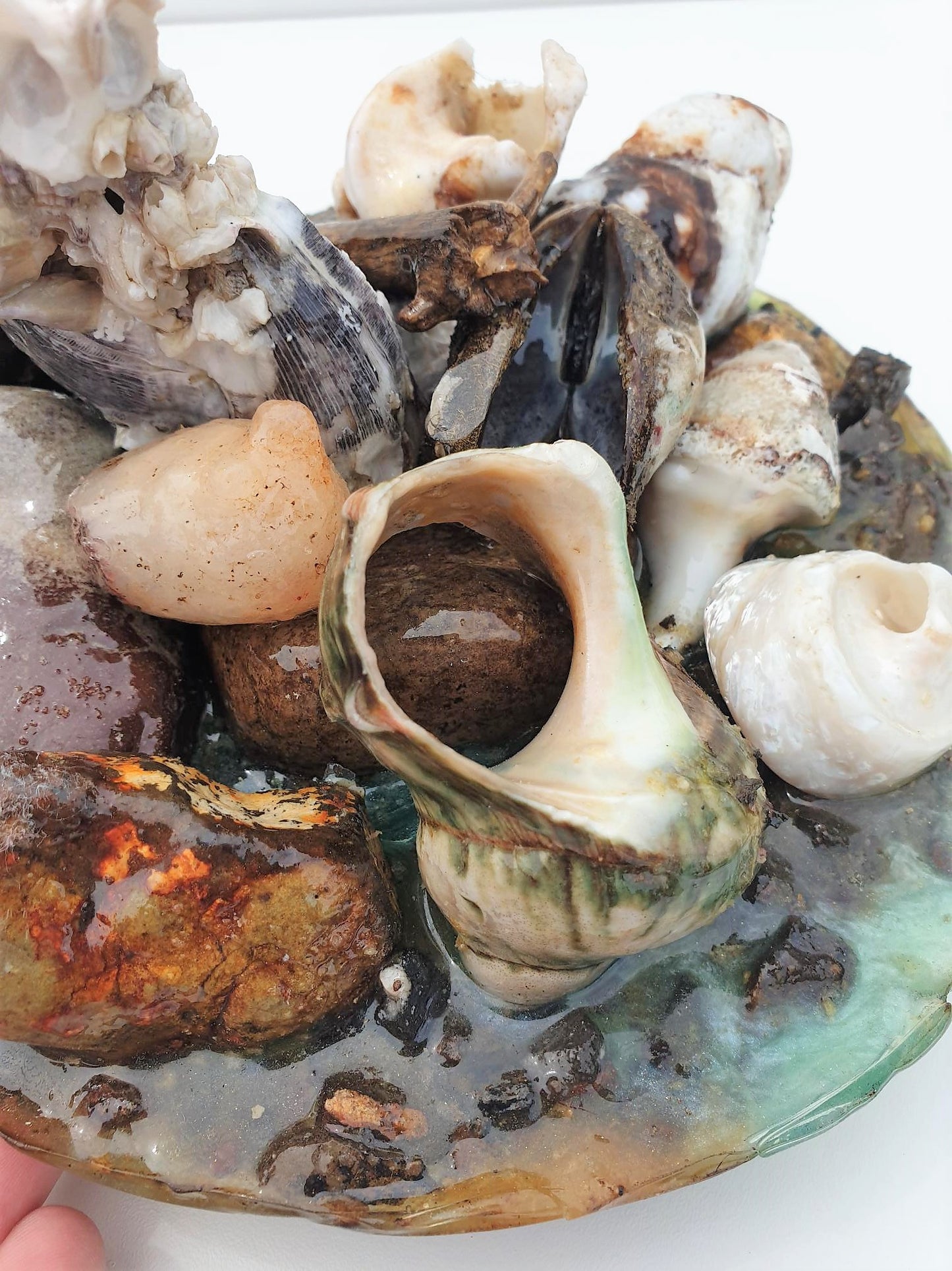 Coastal Table Display / Decor # 2