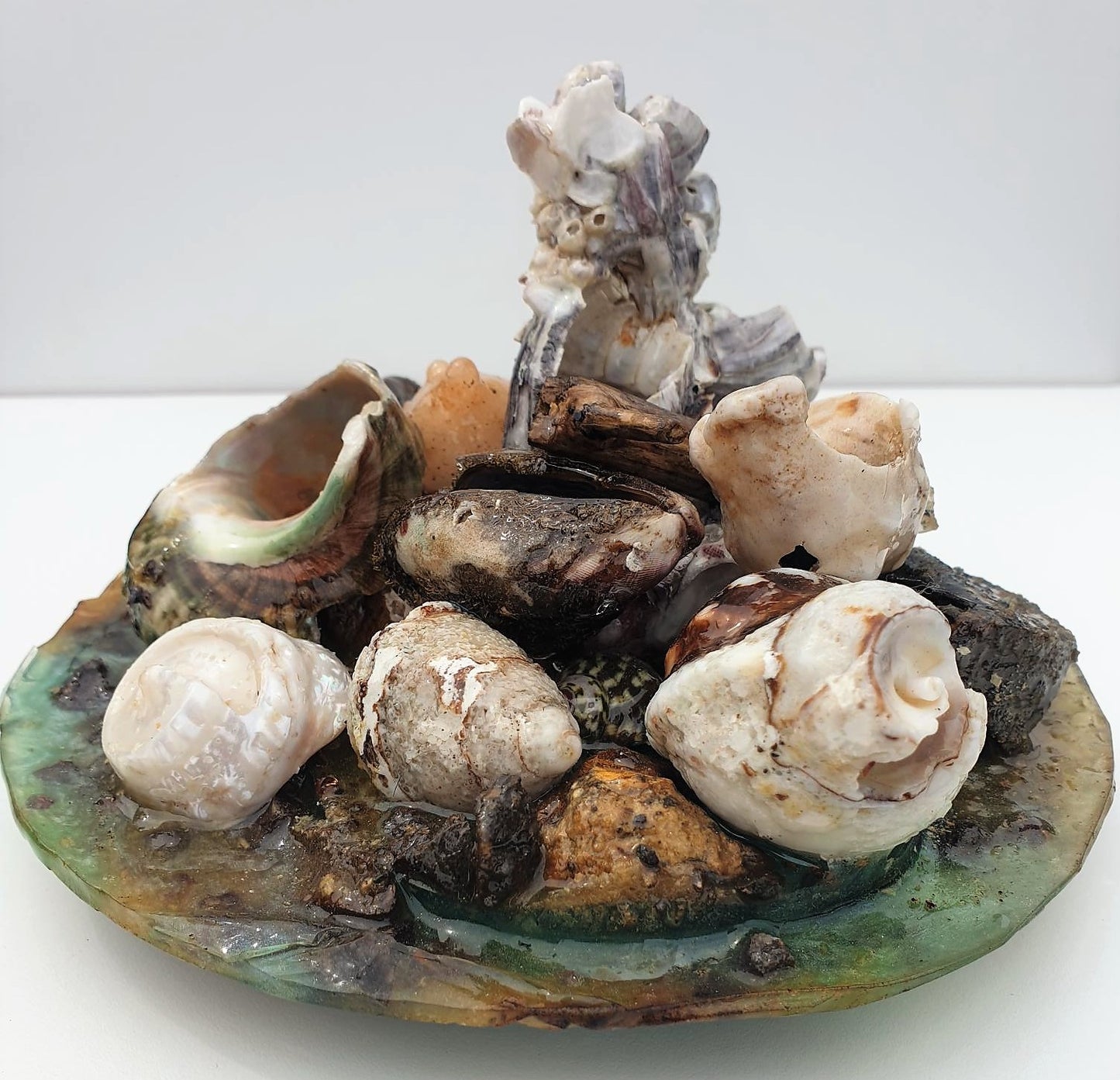 Coastal Table Display / Decor # 2