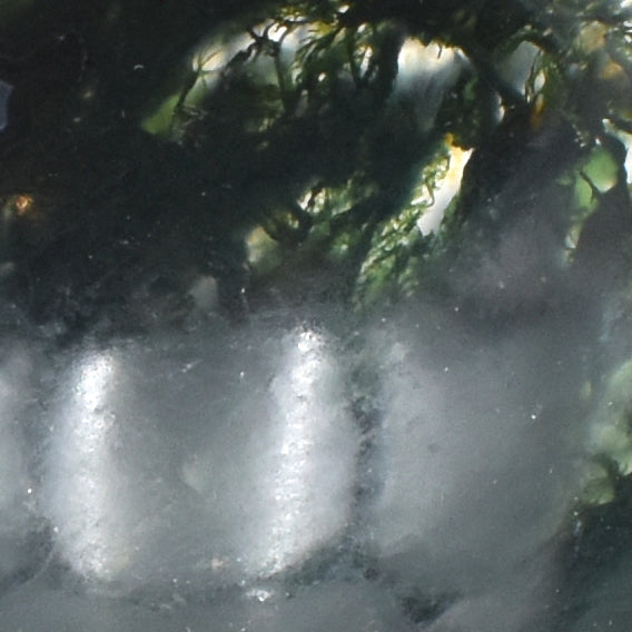 Deep green moss agate carved into a small polished bowl. stunning formations within and a wavy lining. close up