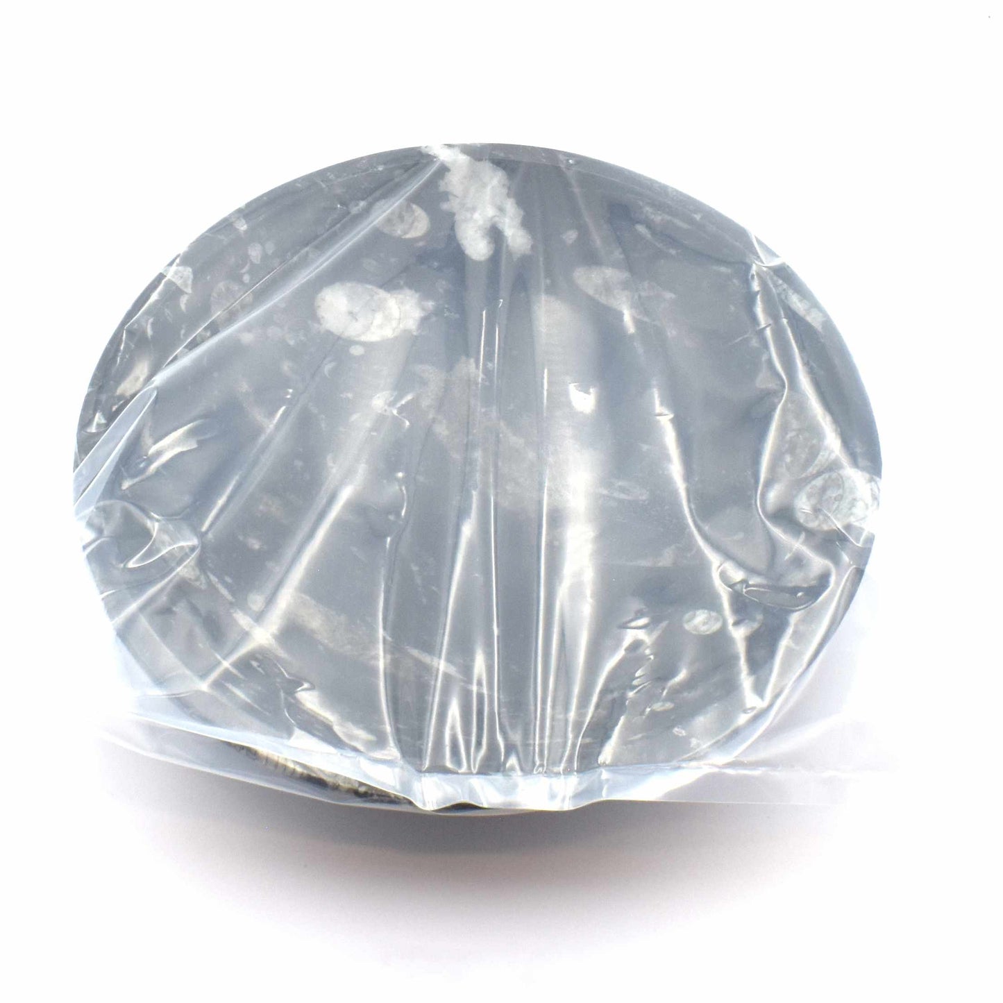 Orthoceras Fossil Crystal Bowl - Extra Large