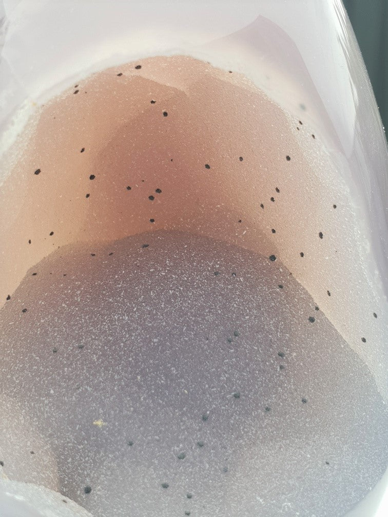 view inside the druzy cave on the agate egg. kiwi fruit looking - very sparkly, black spots throughout and has a gorgeous light peach / blue, grey colouring. outside is smooth, polished and has a light purple colour to it.