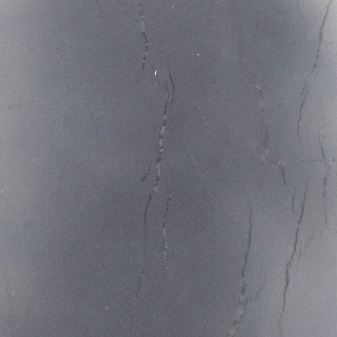 Shungite Charging Plate