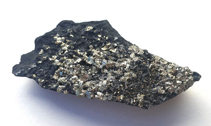 Pyrite on Shungite