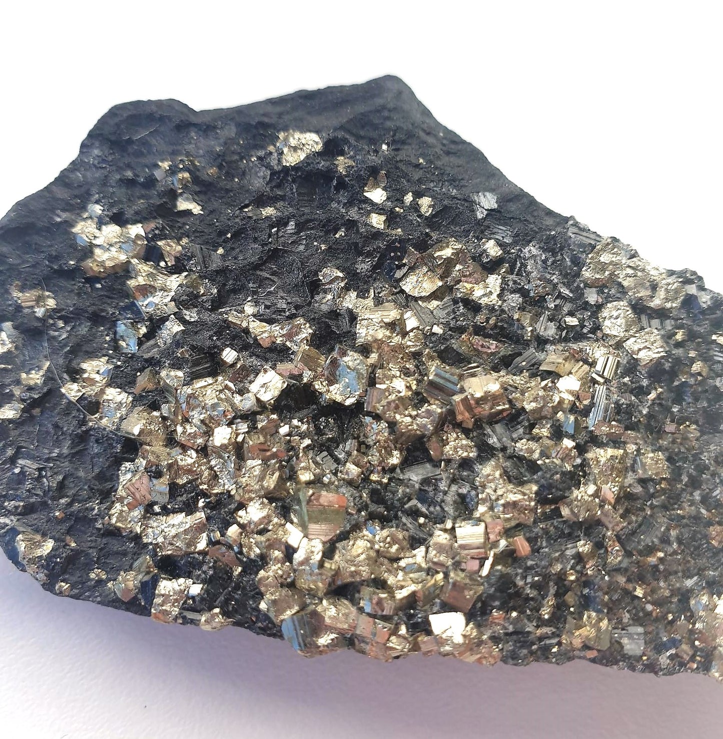 Pyrite on Shungite