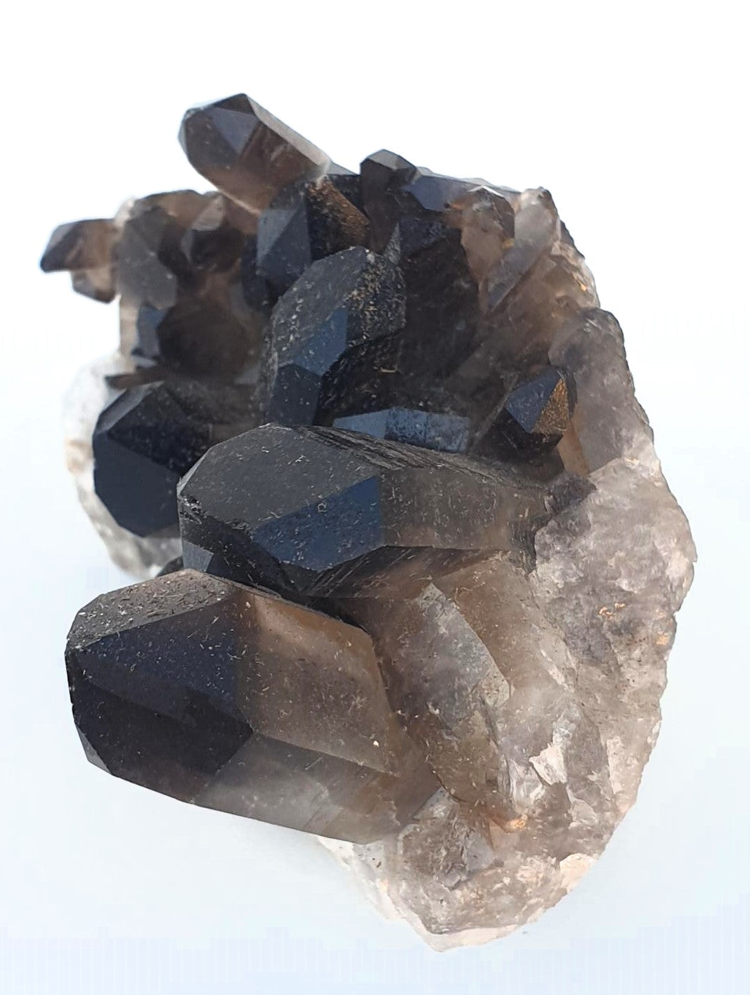 Smoky Quartz Cluster