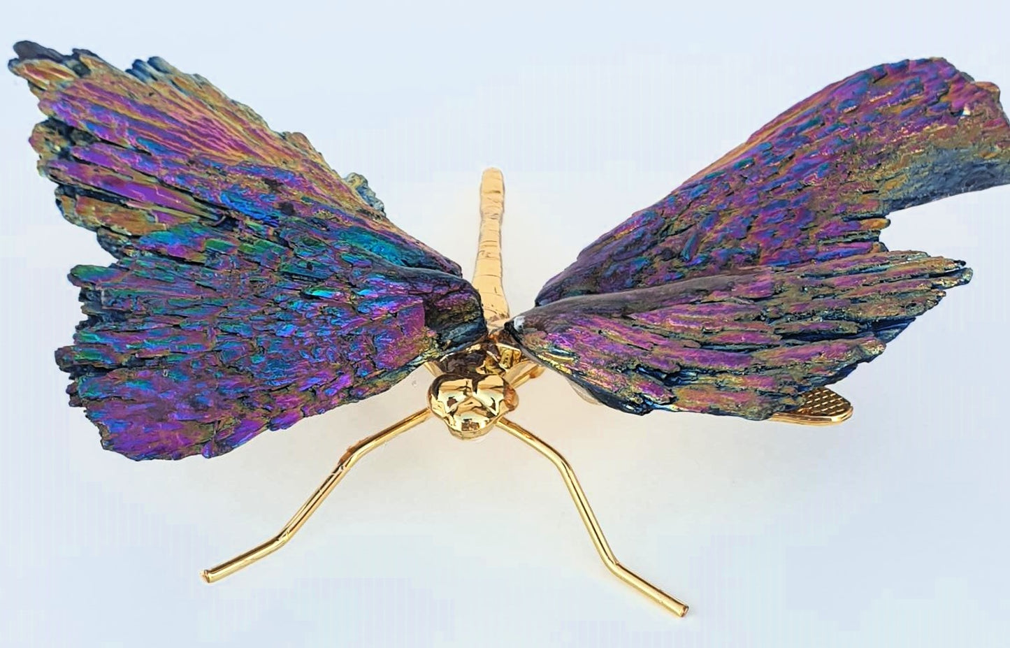 Titanium Aura Dragonfly - Gold