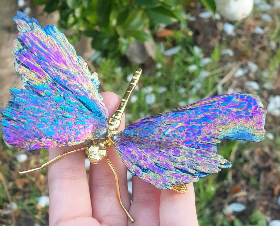 Titanium Aura Dragonfly - Gold