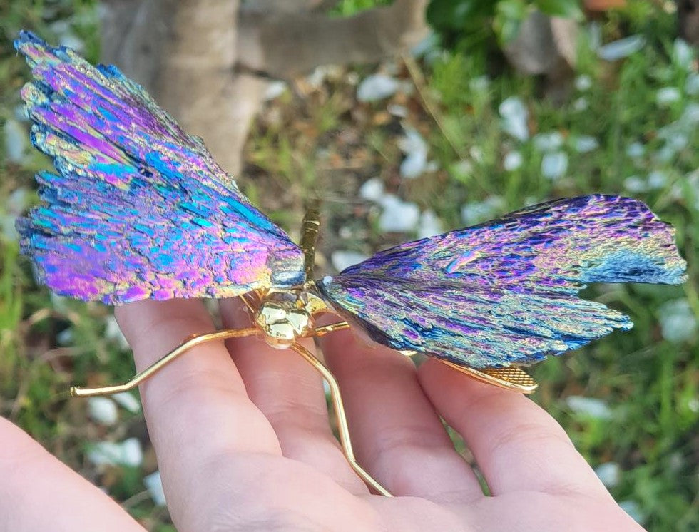 Titanium Aura Dragonfly - Gold