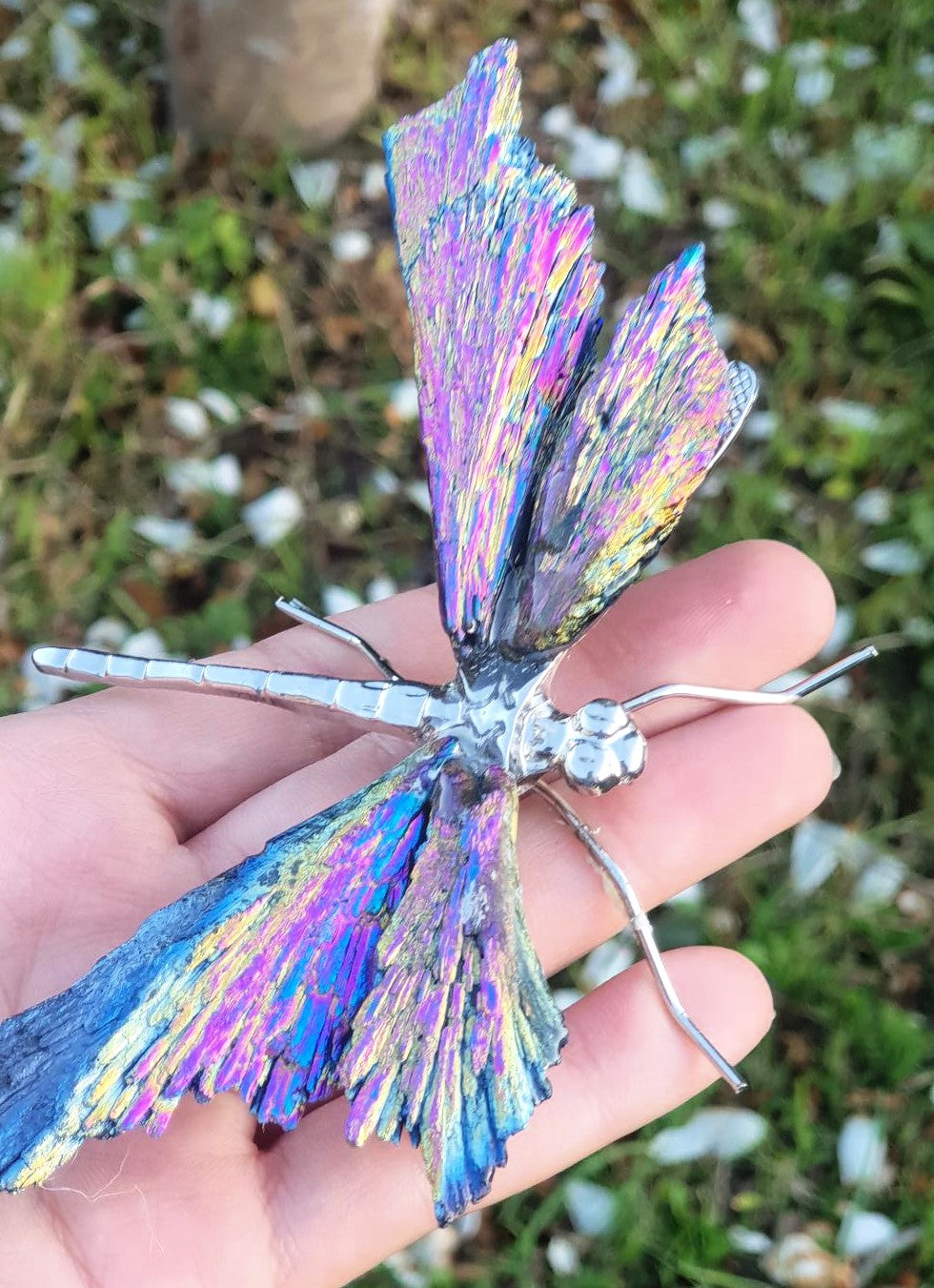 Titanium Aura Dragonfly - Silver