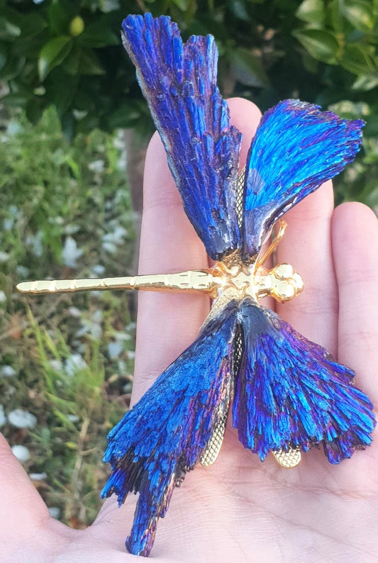 Blue Titanium Aura Dragonfly - Gold