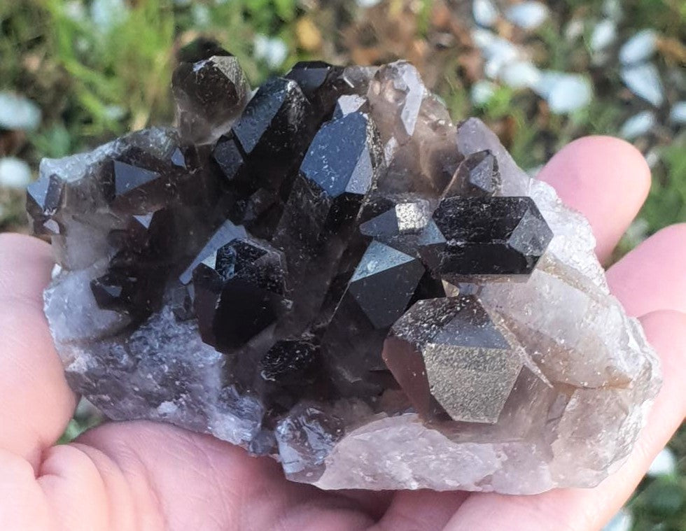Smoky Quartz Cluster