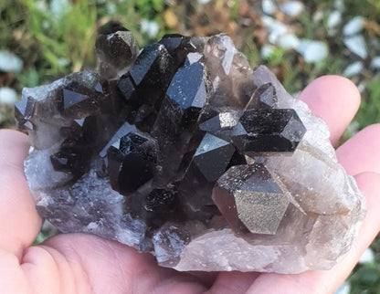 Smoky Quartz Cluster