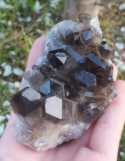Smoky Quartz Cluster