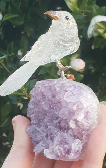 Clear Quartz Crystal Carved Bird on Amethyst Cluster